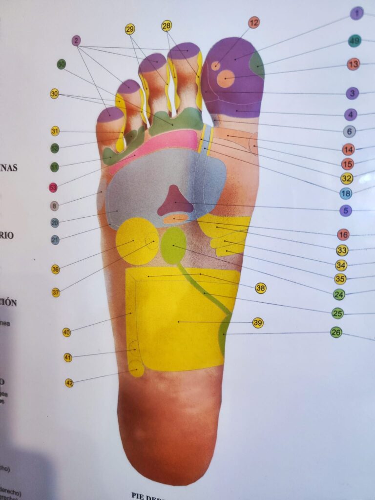 Reflexología Podal