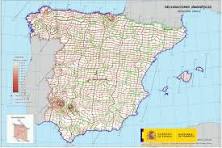 Geopatías